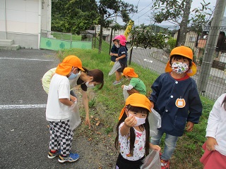 どんぐり