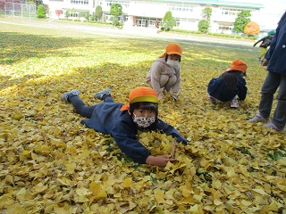 落ち葉