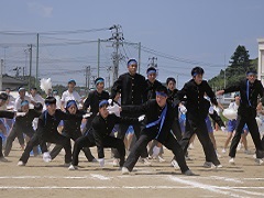 応援合戦青組
