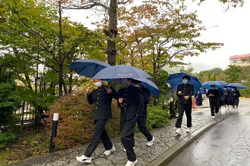雨模様です。