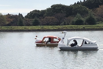 那須りんどう湖