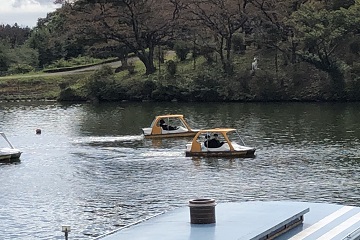 那須りんどう湖