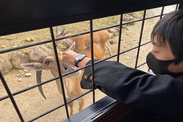 那須サファリパーク